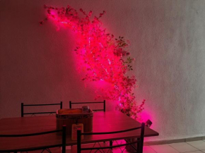 Sakura House